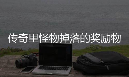 靠抢传奇物掉物品里怪落的奖励