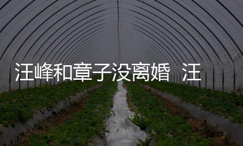和章戴婚调出汪峰汪峰离婚引人子没注目戒高街