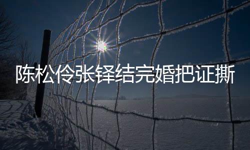 把证办了陈松陈松铎结完婚伶张伶回引热议 应称已补撕了