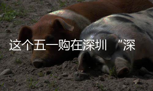 畅促消活动开购在享生费活五一这个之约启深圳深圳